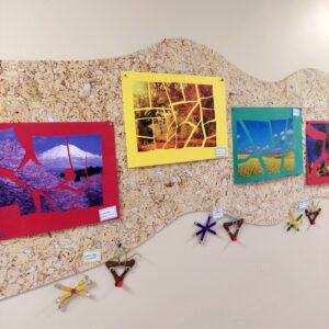 Midrimaa-Huvikool-galerii -34 – 750 x 1000