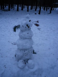 Pirita- Kose lumememmed 